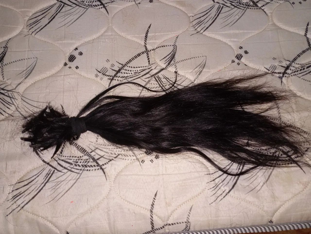 Cabelo 