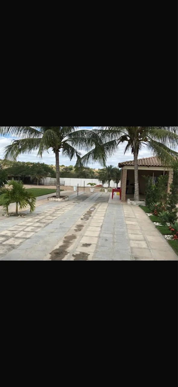 Chácara Conceição do coite  - Foto 3