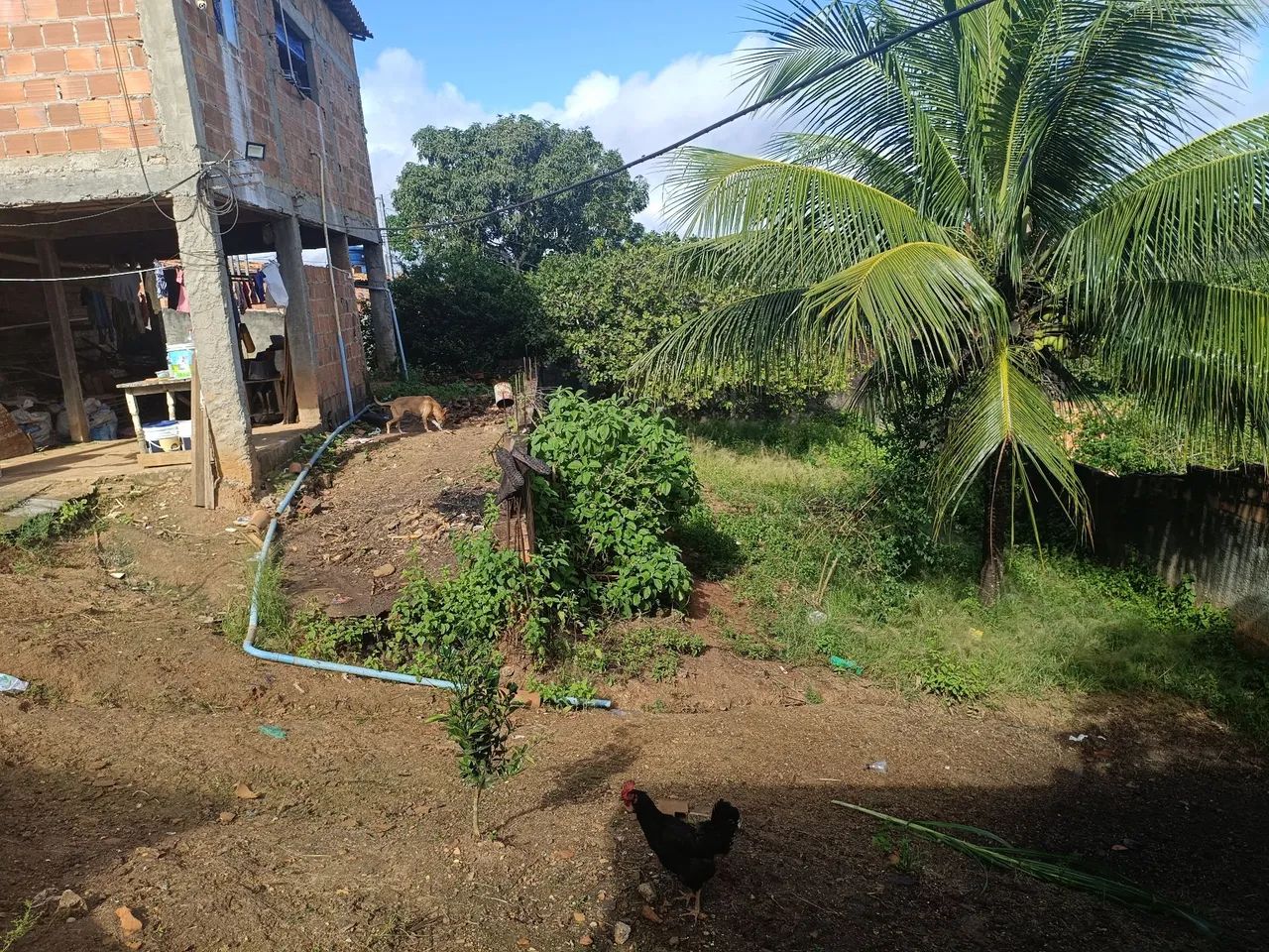 Vende-se uma chácara com 1 tarefa de terra preço a combinar  - Foto 2