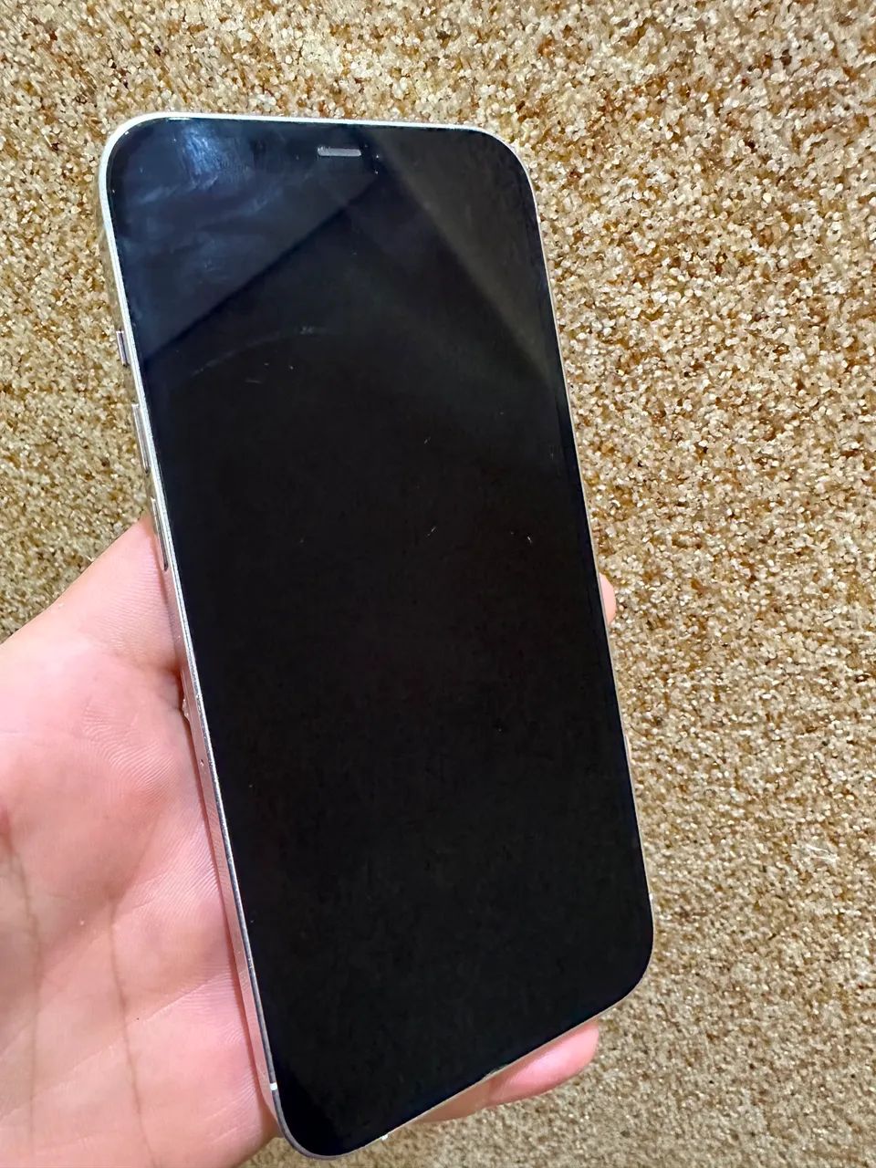 iPhone 12 Pro Max 