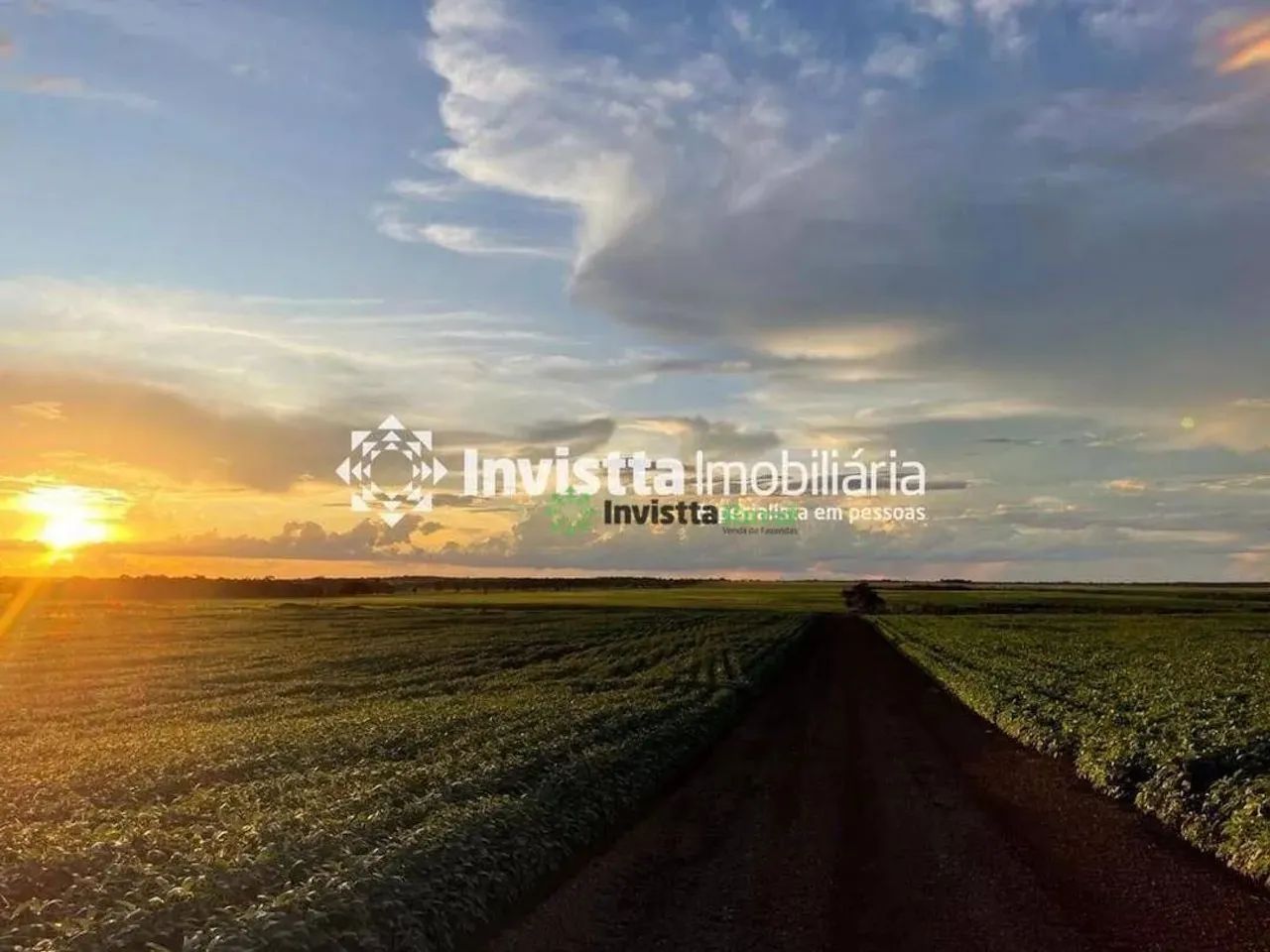 Fazenda de 940 alqueires com lavoura de soja e infraestrutura completa - Foto 5