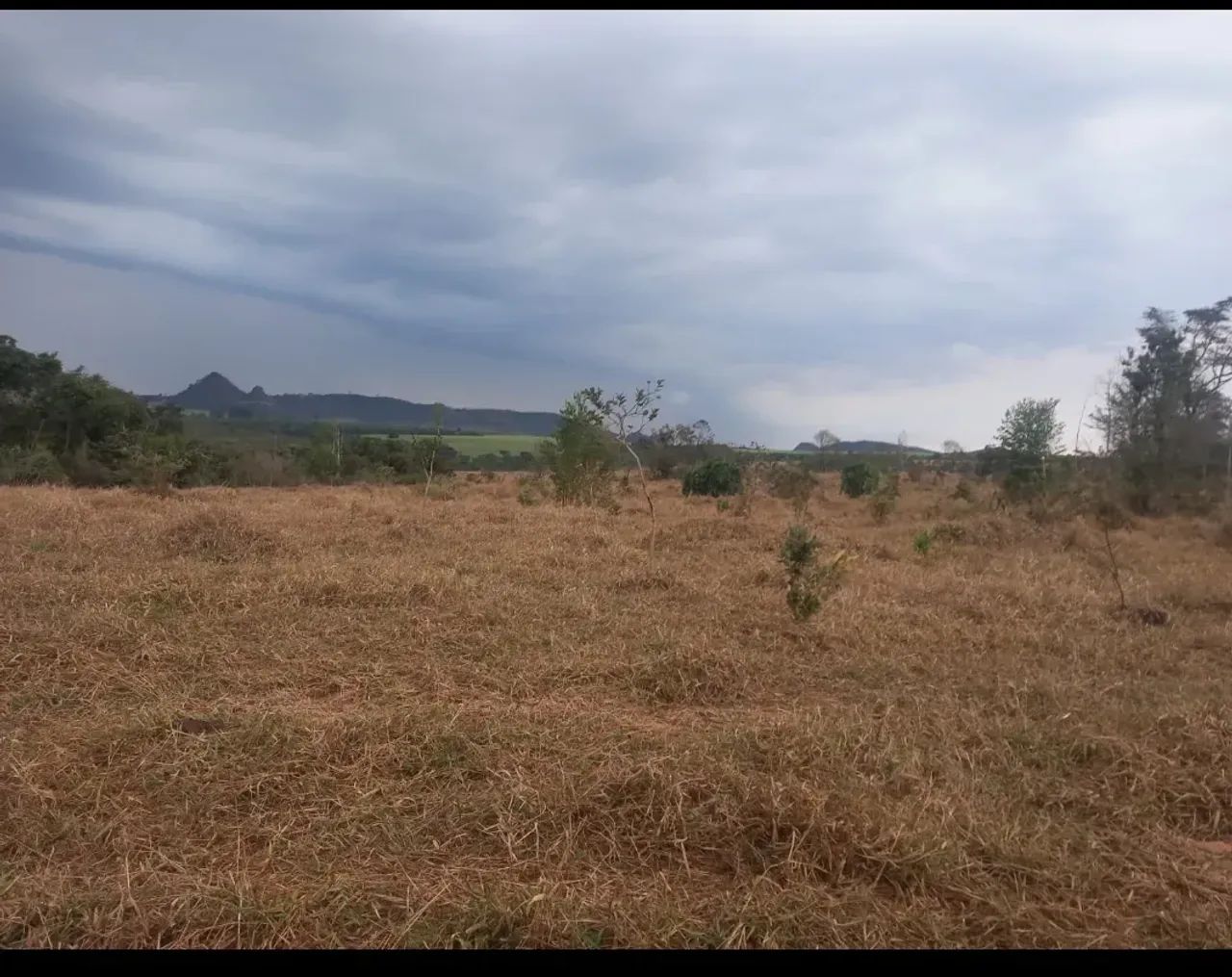 Sítio bom para café ,abacate ,grãos - Foto 5
