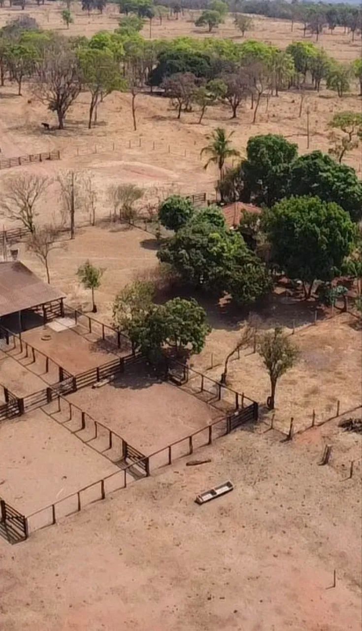 Fazenda dupla aptidão em Campina verde  - Foto 4