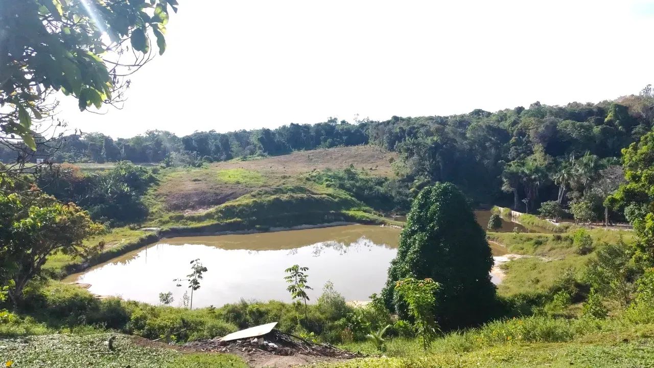 Sítio com Criação de peixes - AM 010, Km 65 - Foto 5