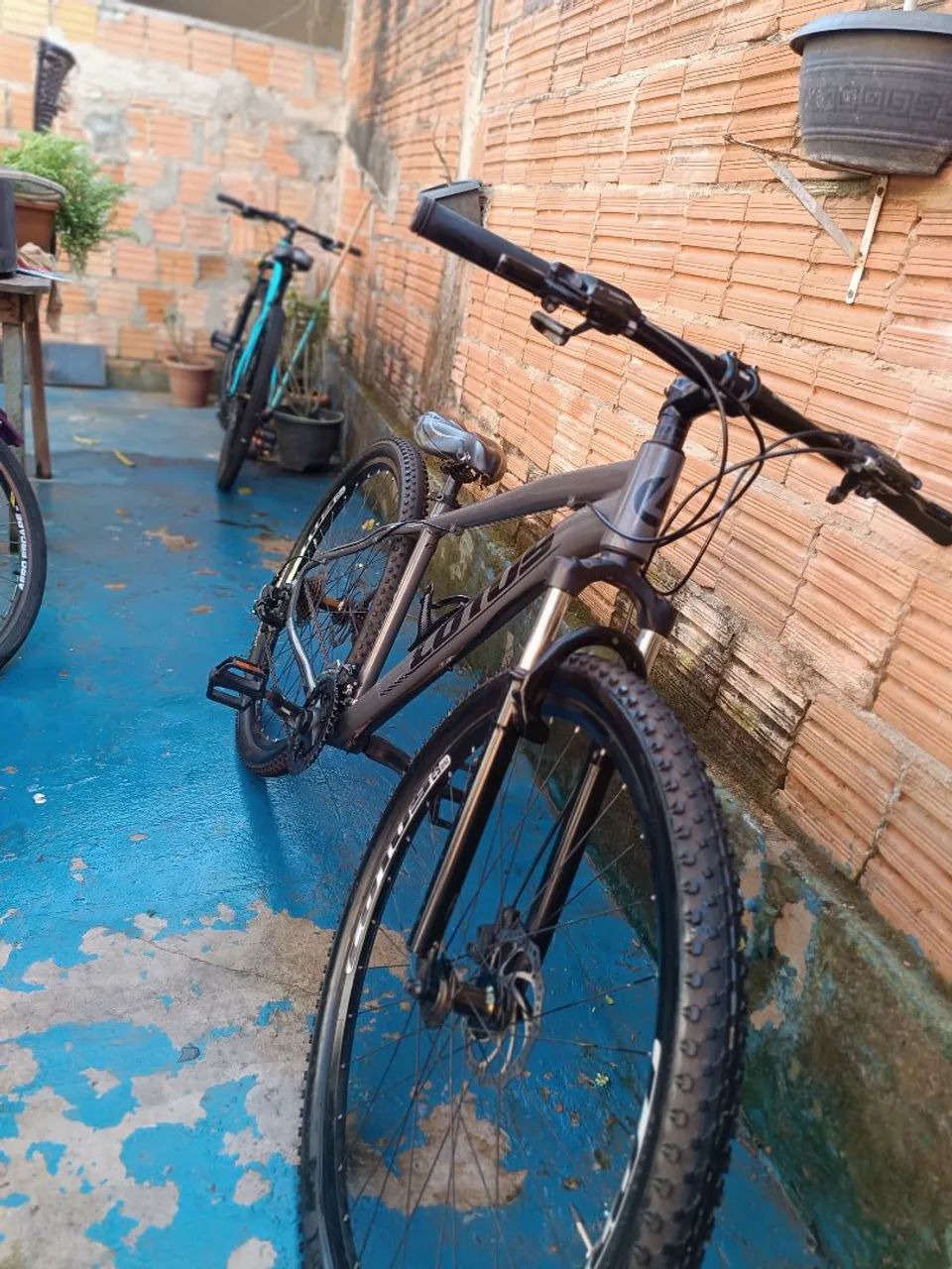 Bicicleta