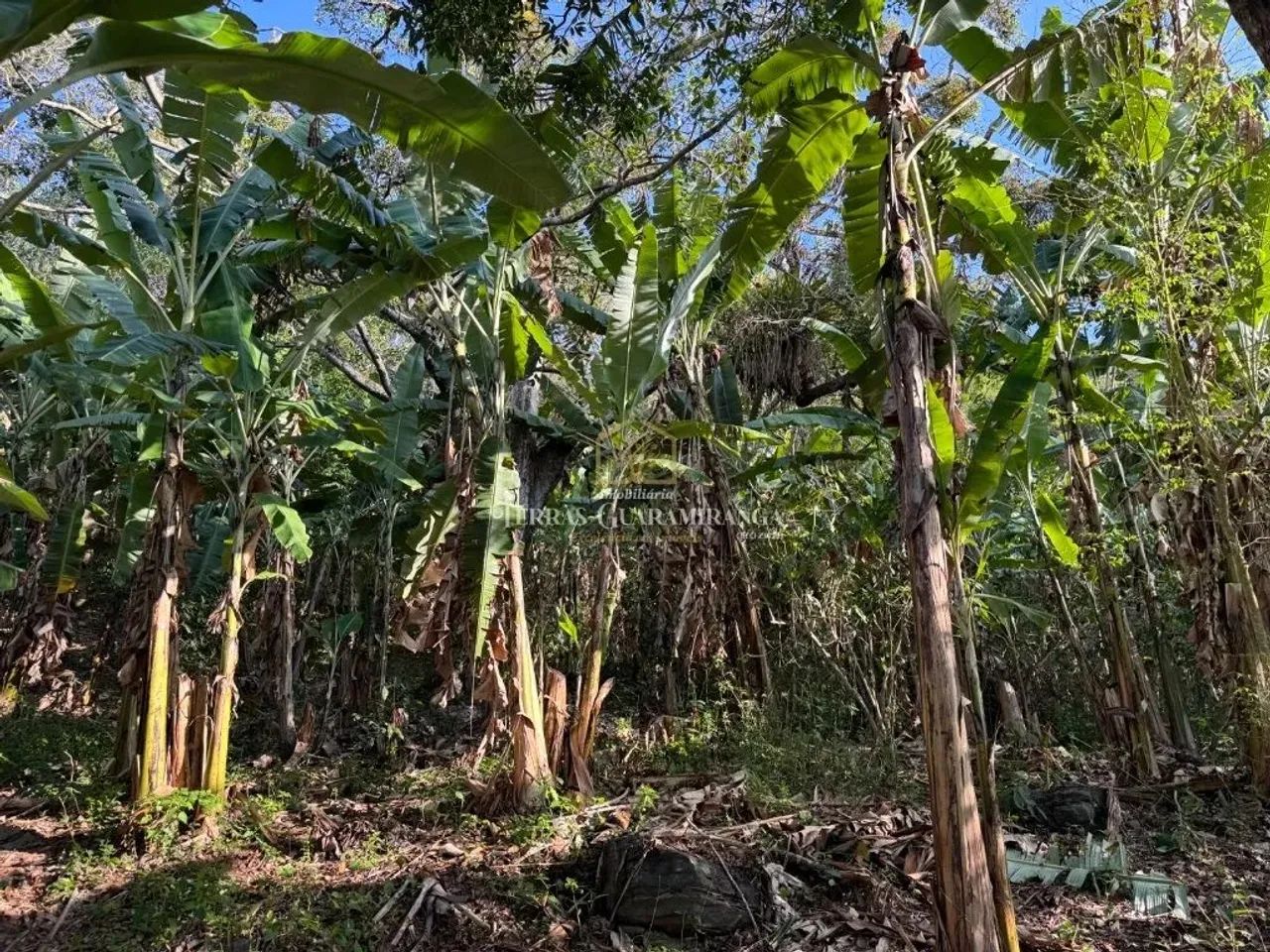 TERRENO EM GUARAMIRANGA - Foto 2