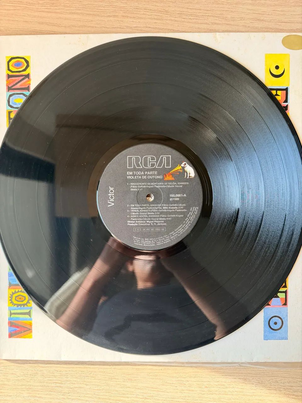 LP Violeta de Outono - Em toda parte  - Foto 2