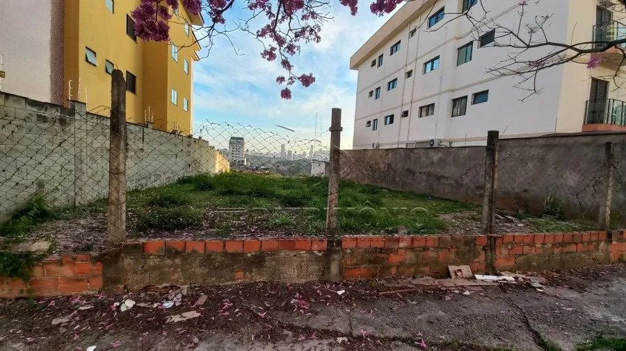 TERRENO CAMPOLIM - Foto 2