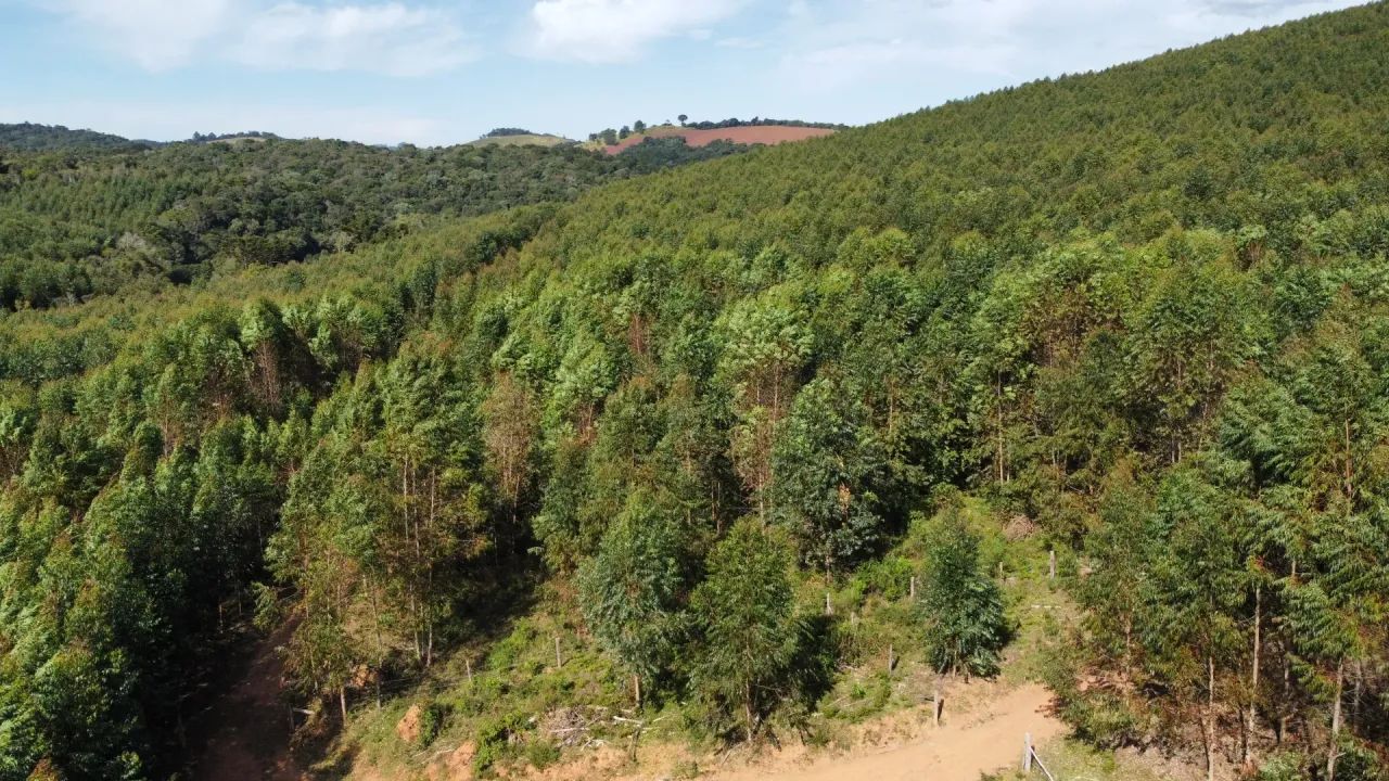 Fazenda   em Ribeirão Branco SP