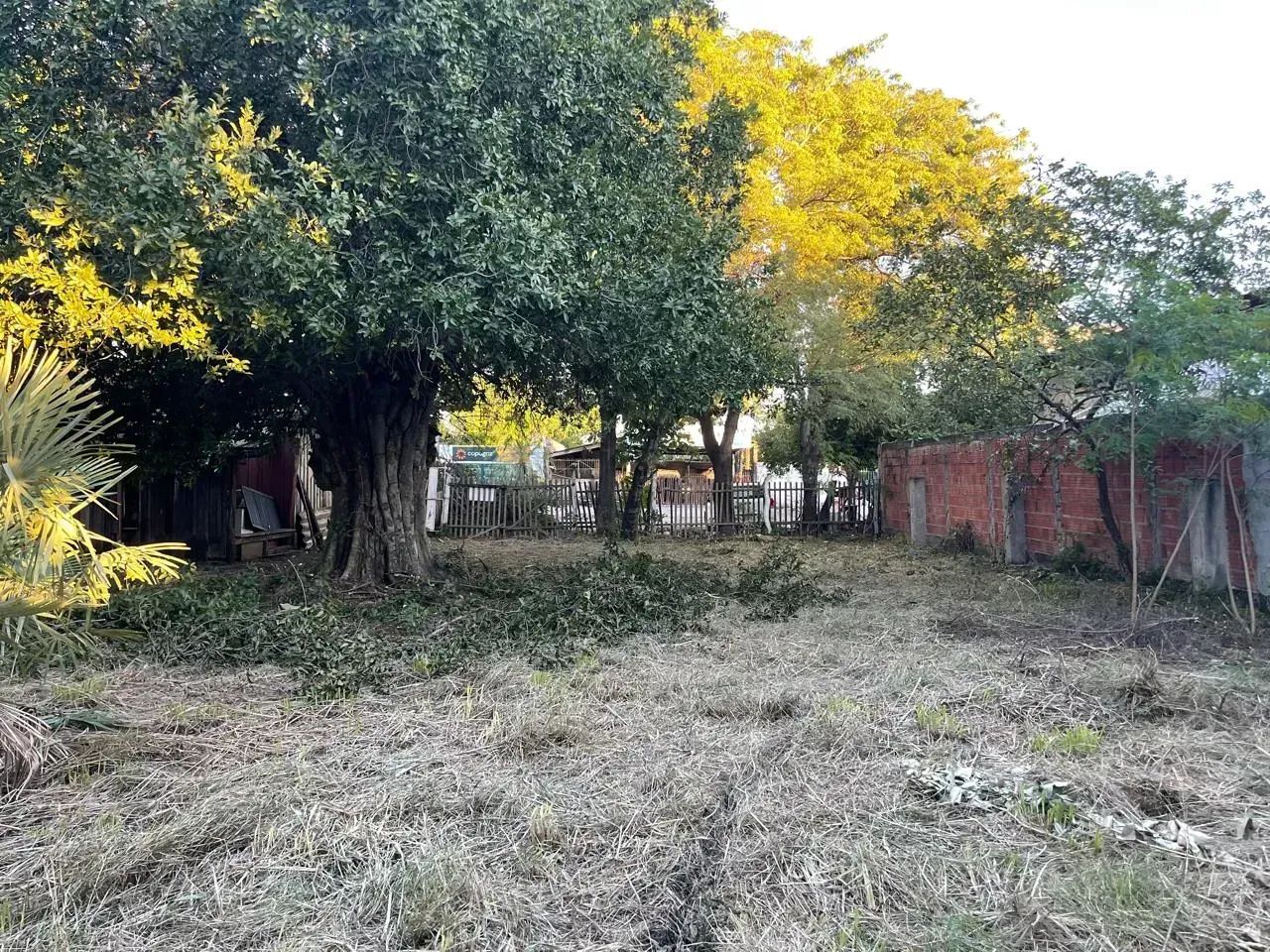 TERRENO EM PORTO MURTINHO-MS - Foto 3