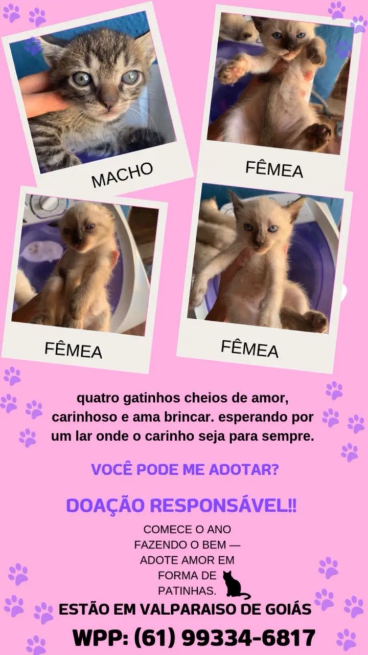 Doação Responsável!