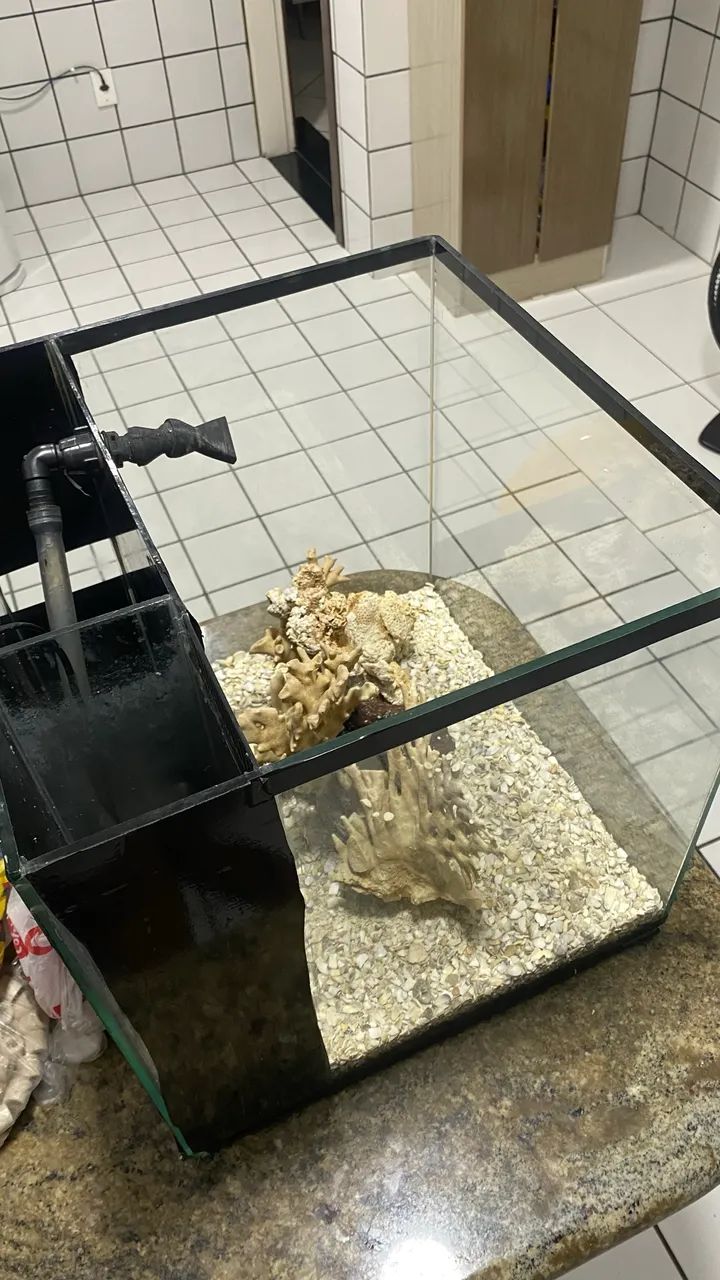 AQUÁRIO MARINHO 64 LITROS - Foto 2