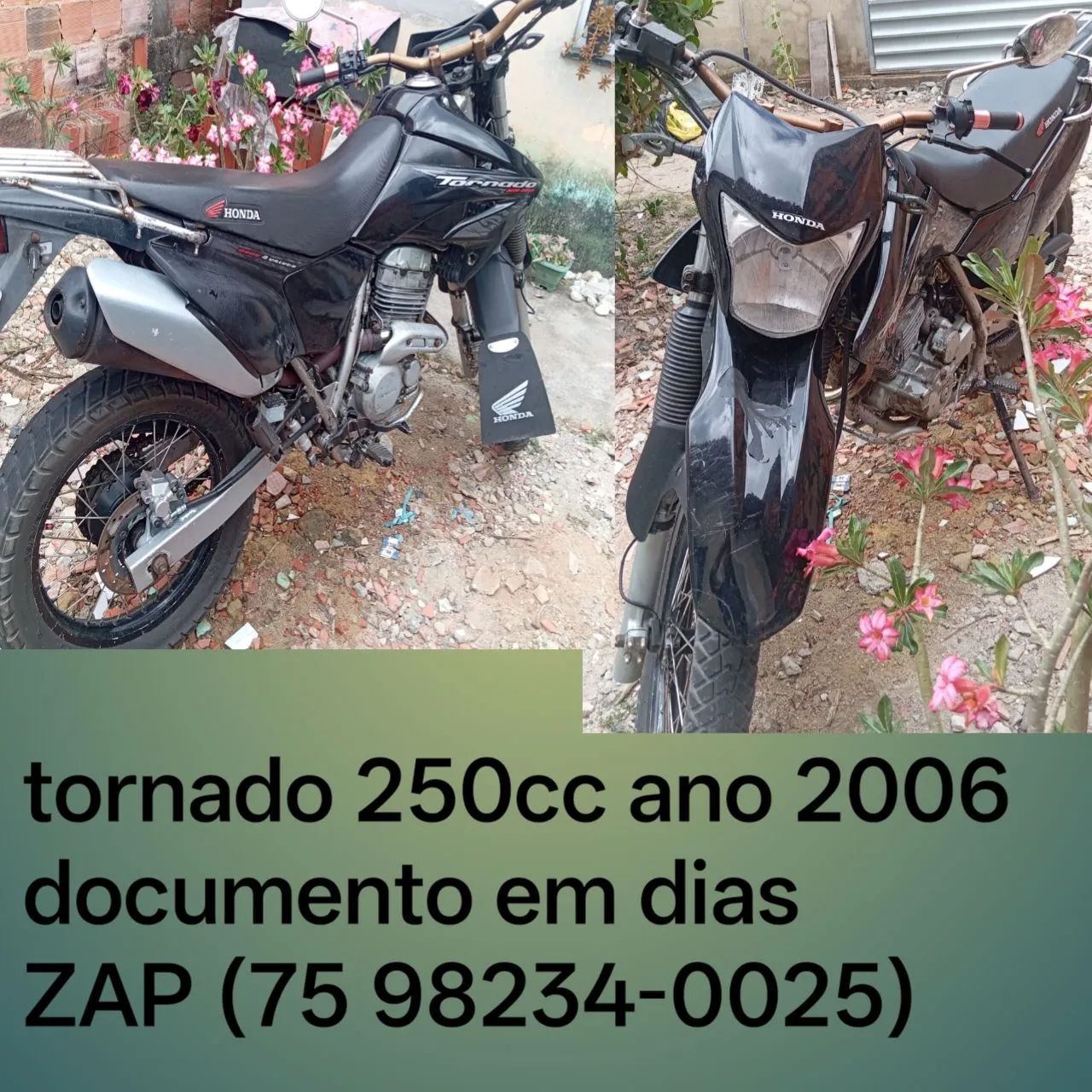 Tomando 250cc
