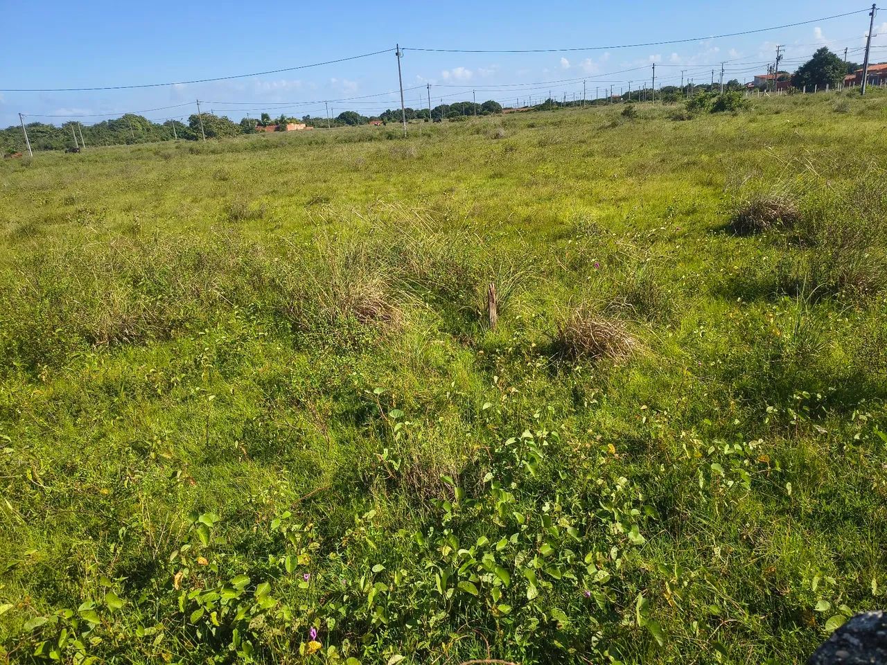 Oportunidade única. - Foto 4