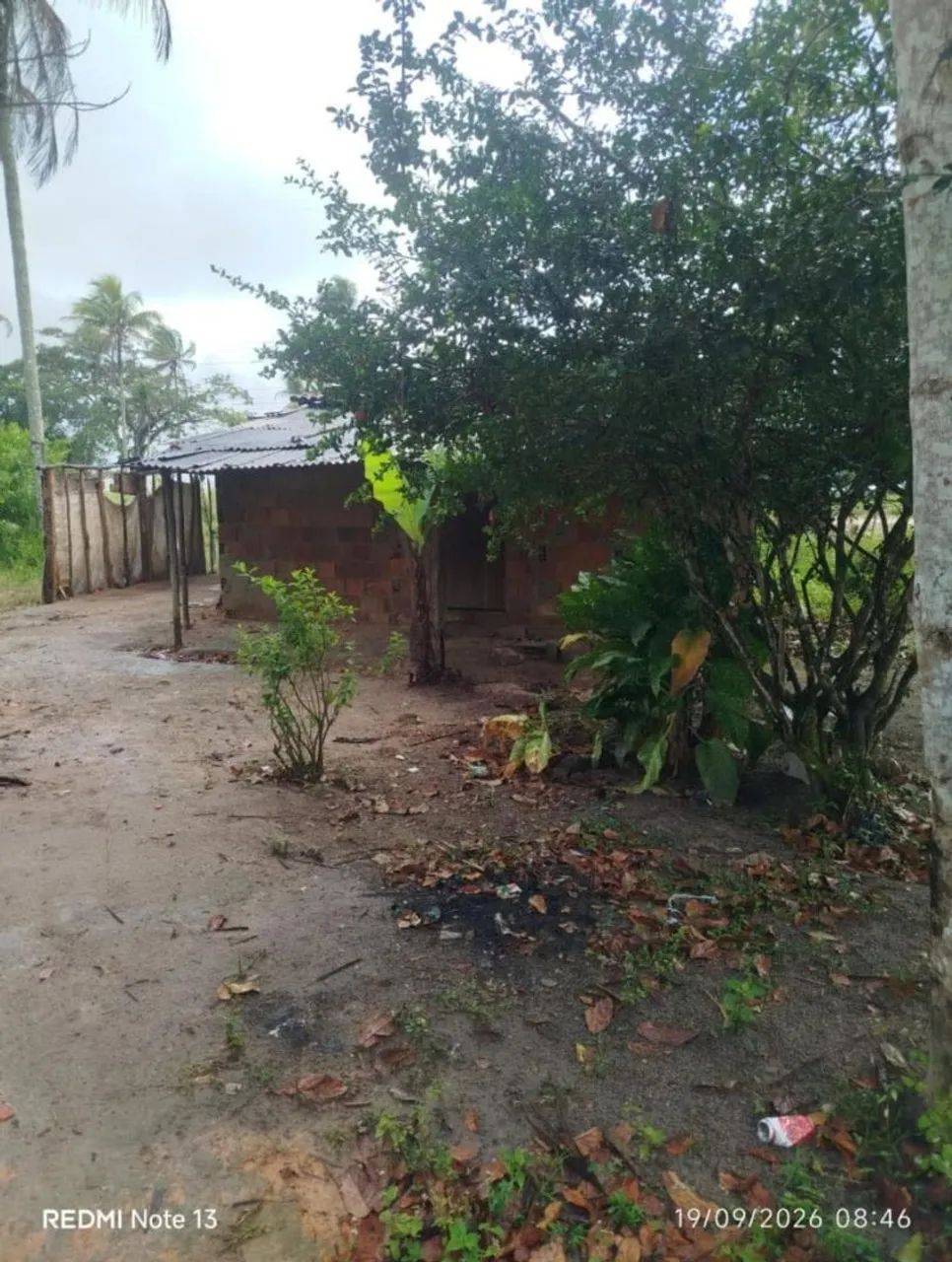 Sítio a venda - Foto 3