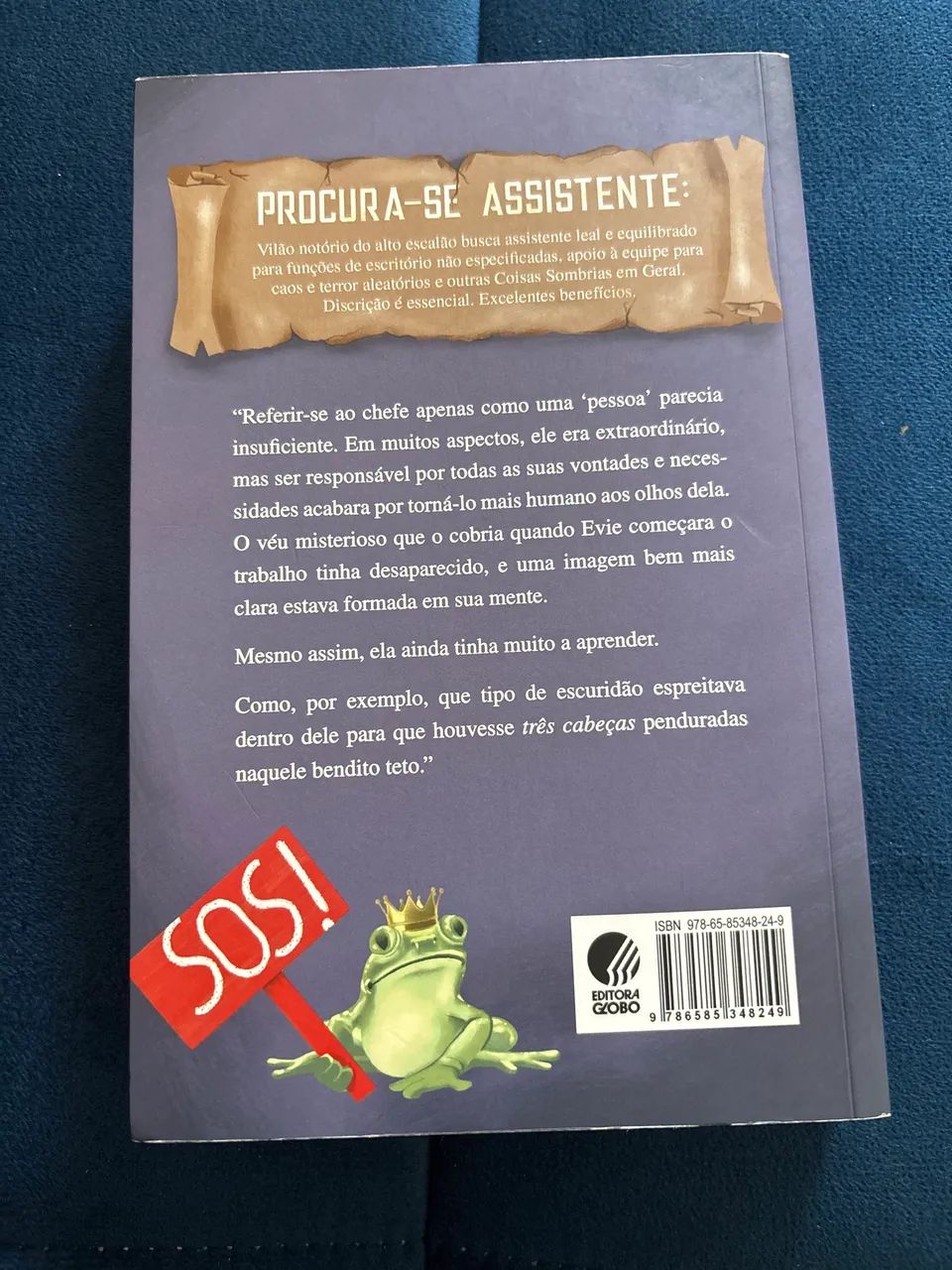 Assistente do Vilão - Foto 3