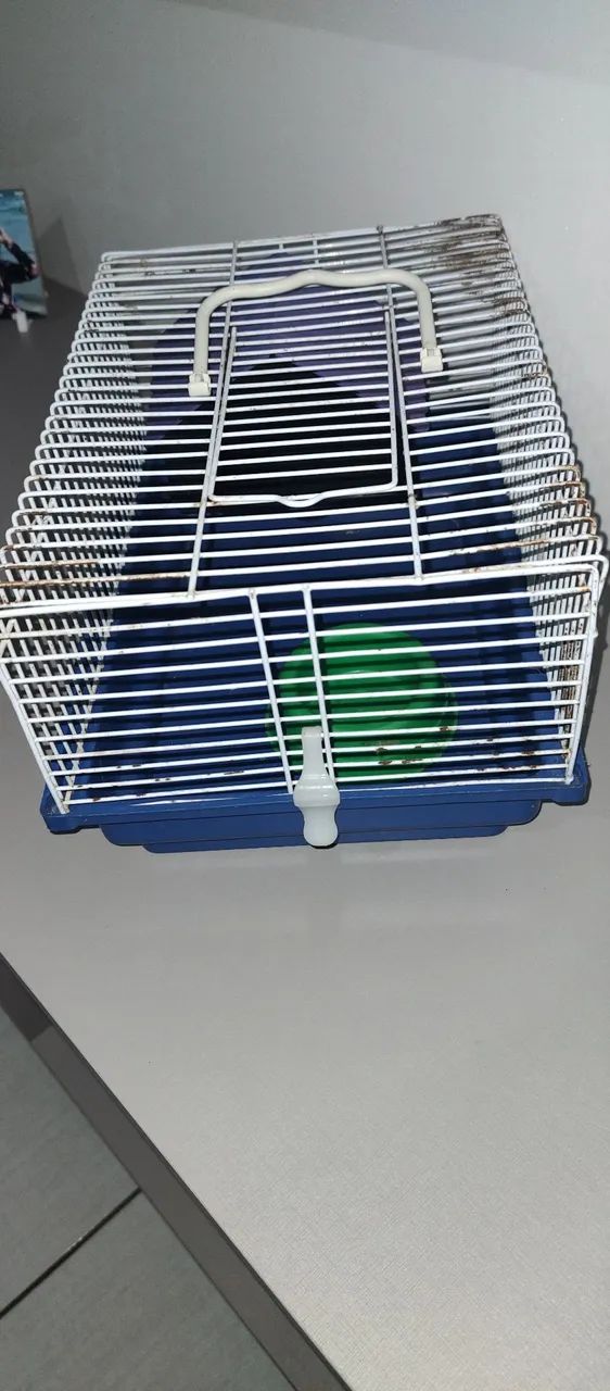 Gaiola tipo criadeira pequena  - Foto 2