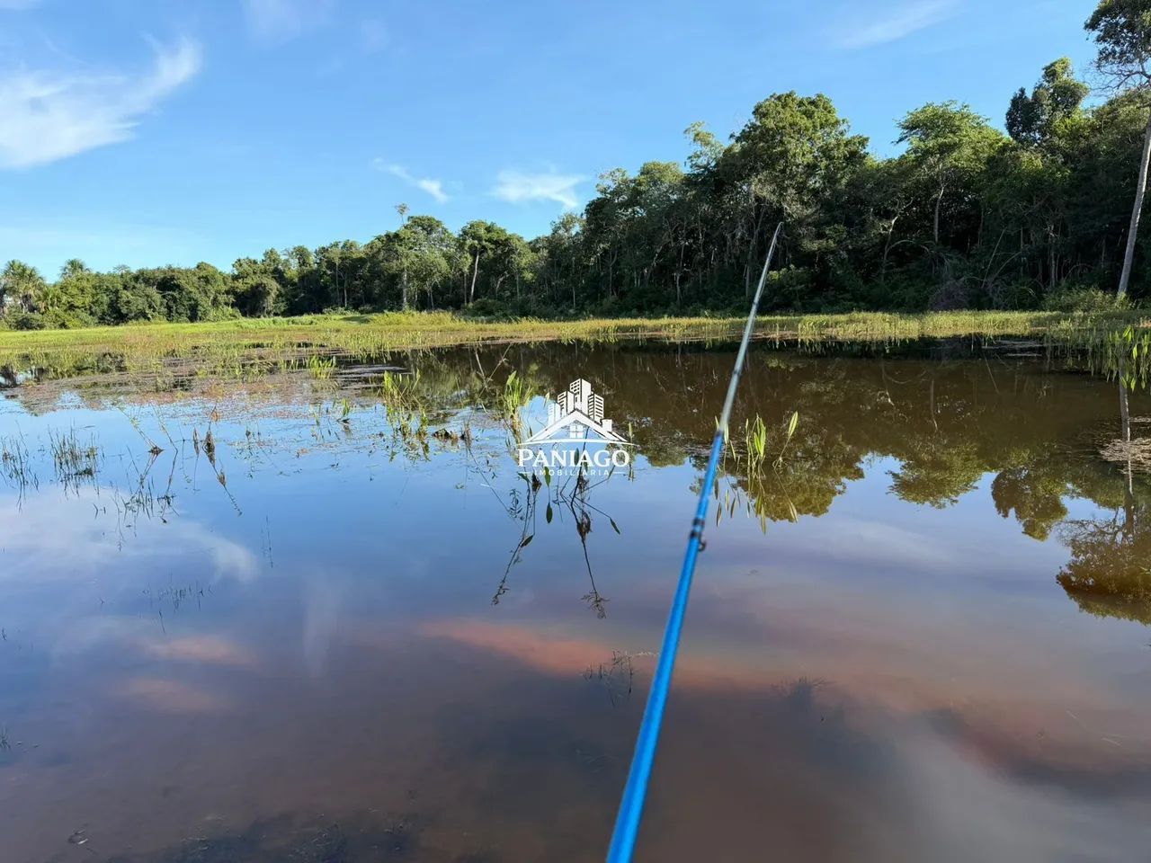 Fazenda 1550ha - Foto 3