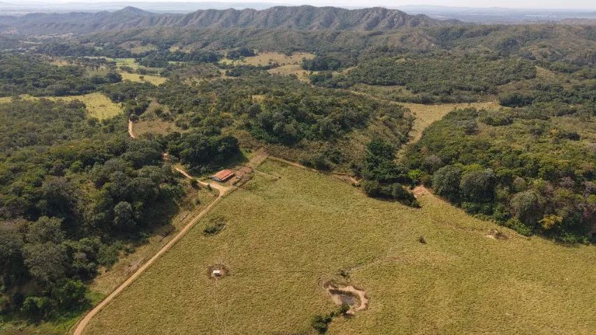 Fazenda para Pecuária 241 hectares - Foto 2