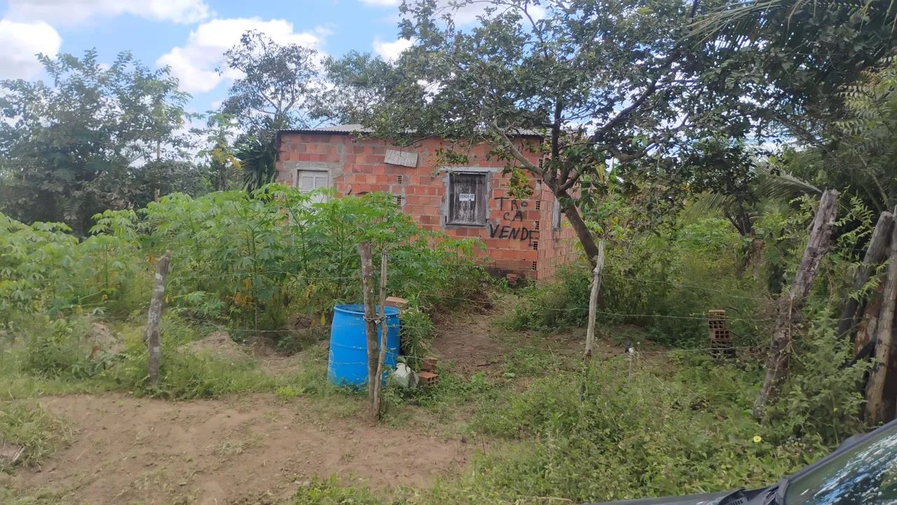 Terreno todo plano 15 de largura pô 60 de comprimento  - Foto 3