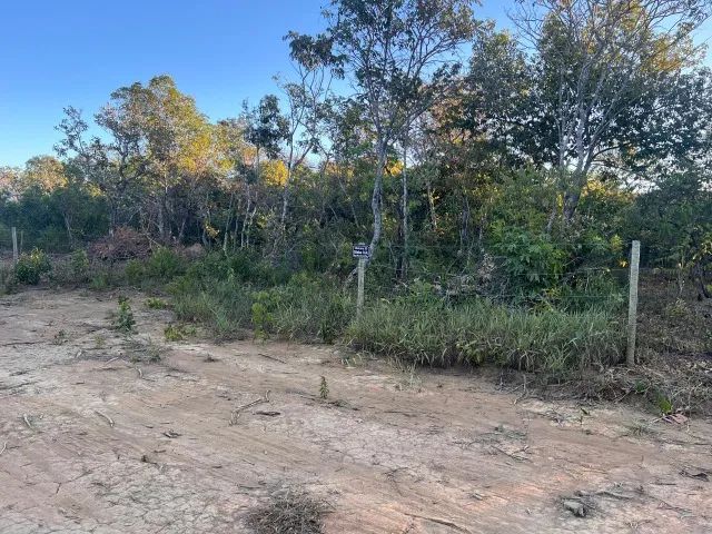 Lotes 15A e 16A (Cavalcante Chapada dos veadeiros) 45 mil cada - Foto 3