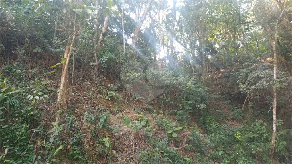 Terreno à venda em Caraguatá - SP - Foto 3
