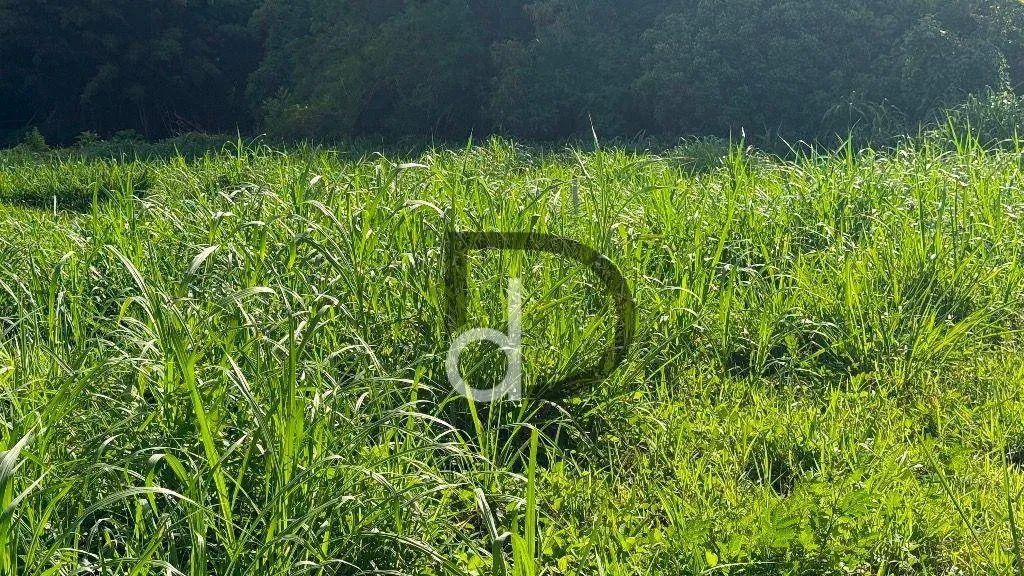 Terreno no Pinheiro a venda em Vinhedo/SP - Foto 5