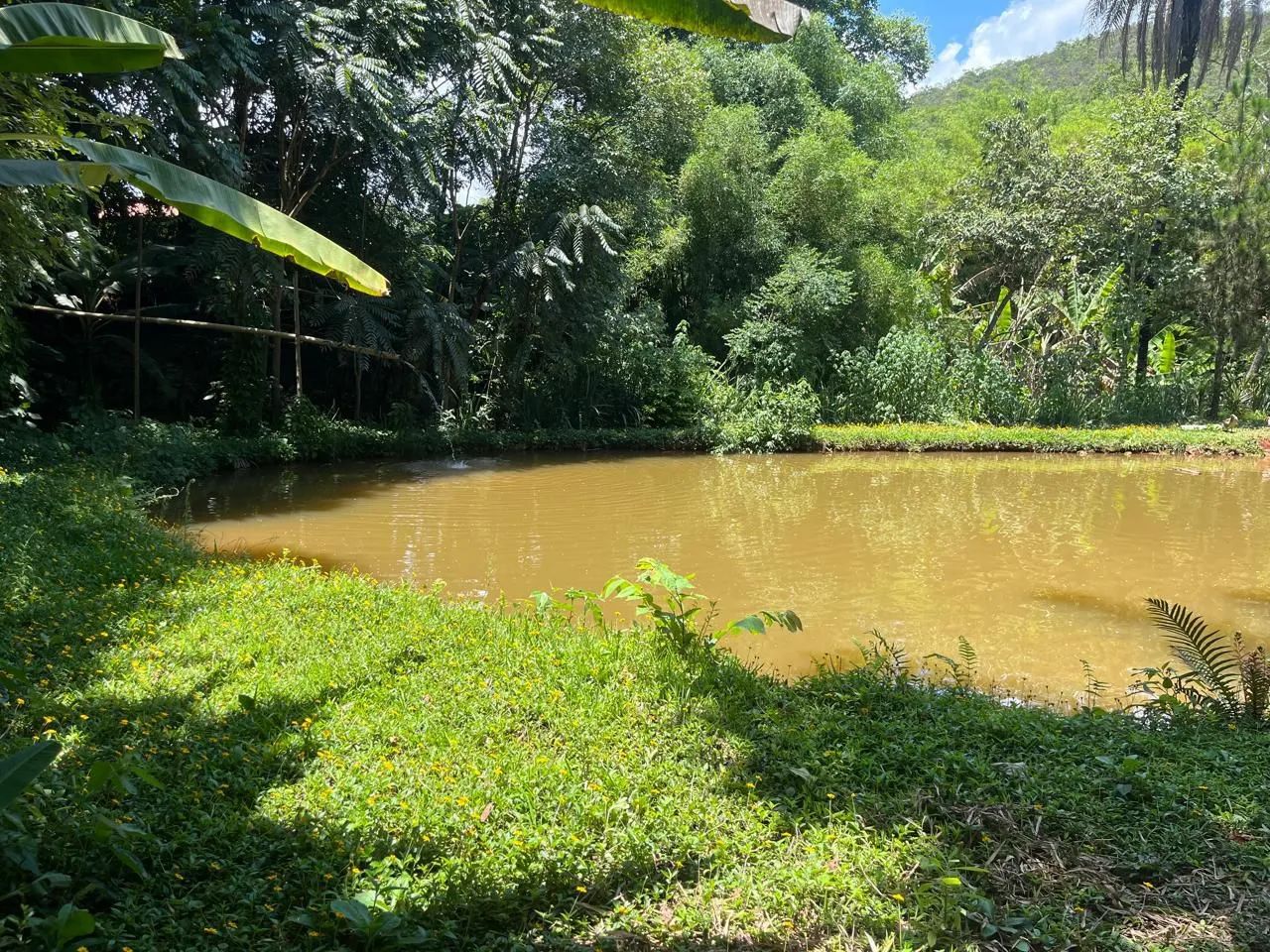 SÍTIO EM VIEIRAS COM ÁGUA EM ABUNDÂNCIA.