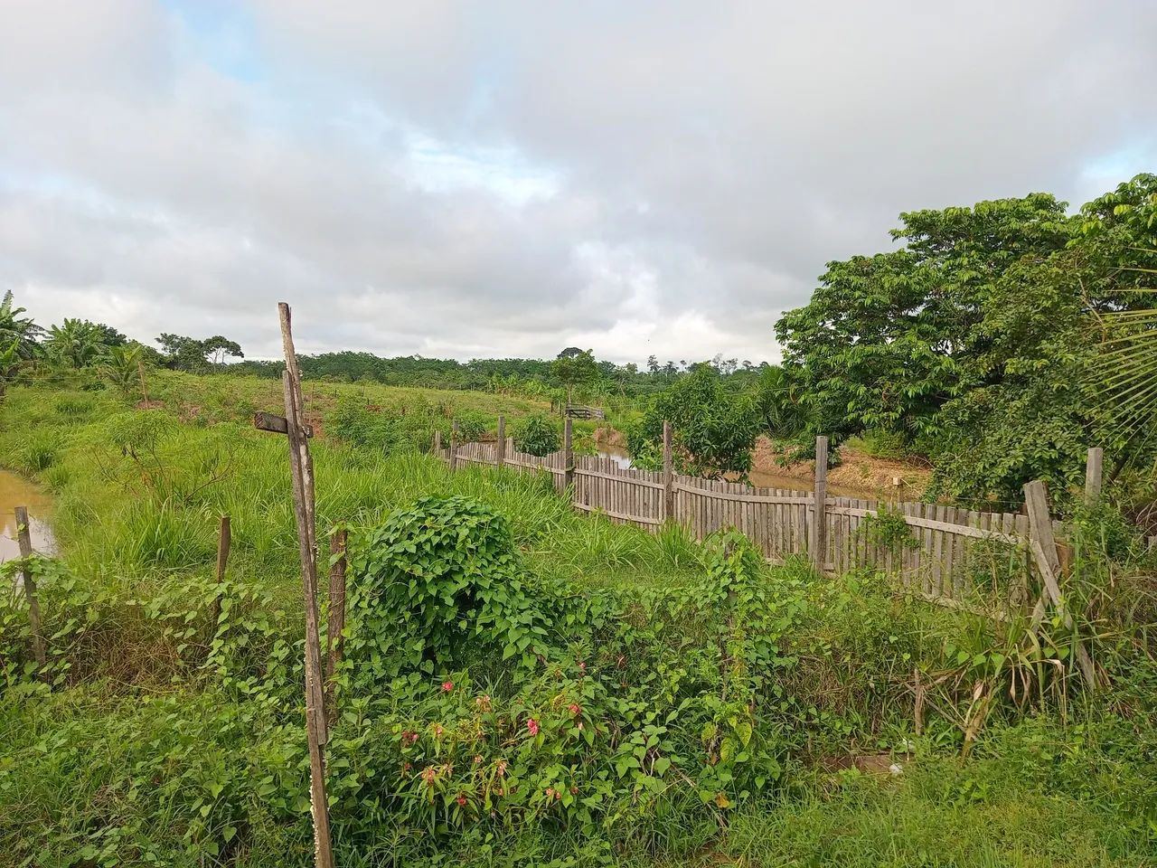 Vende se uma chácara 5 hectares  - Foto 3