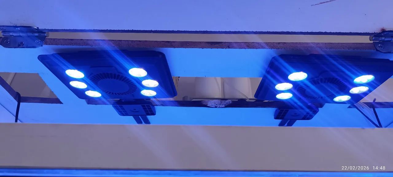 Aquário Marinho completo  - Foto 4