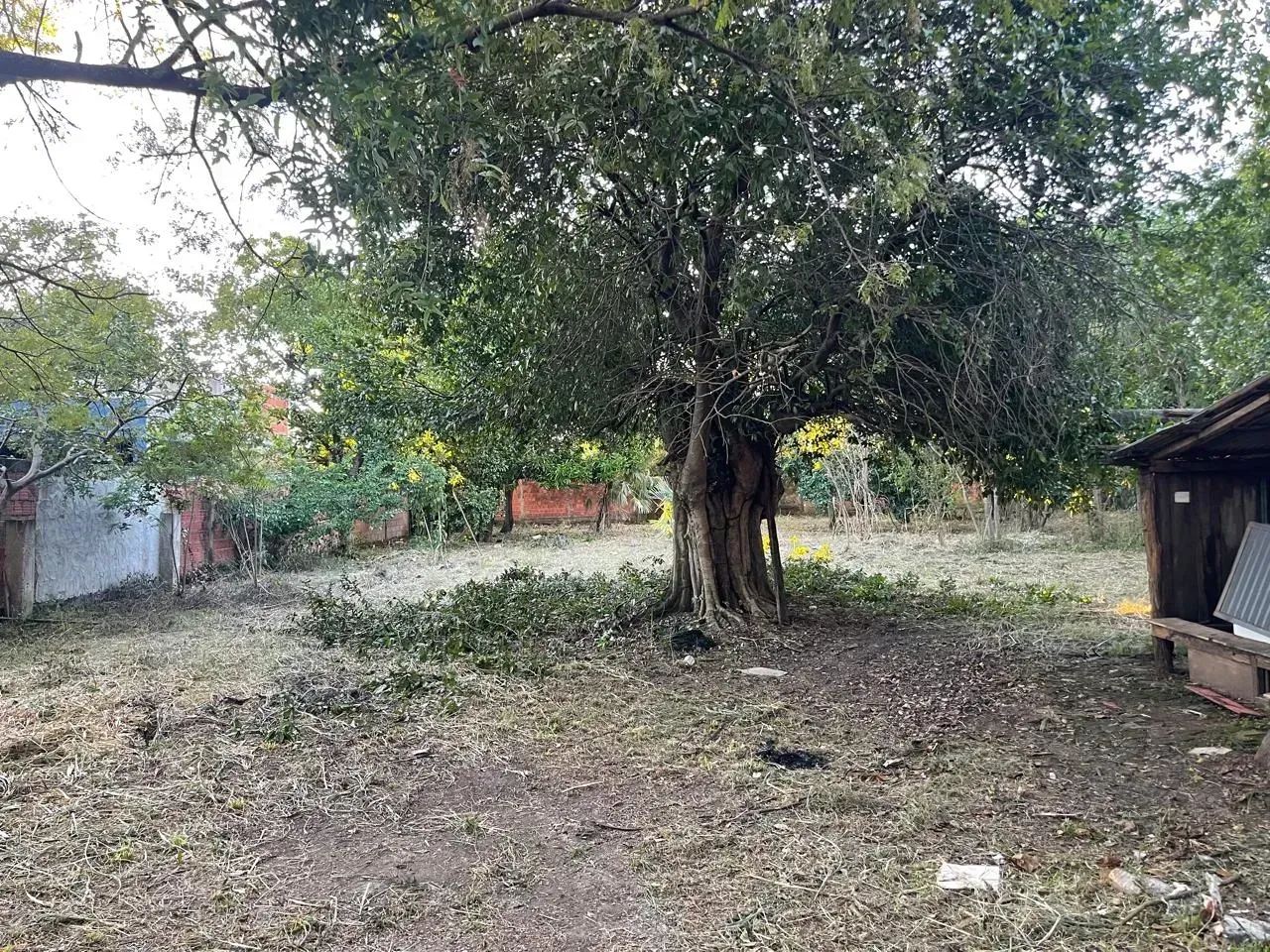 TERRENO EM PORTO MURTINHO-MS - Foto 4