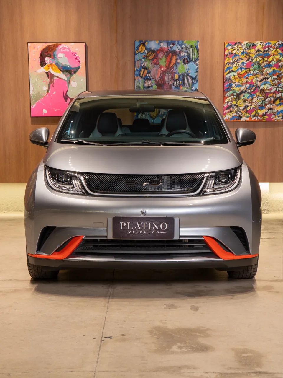 BYD Dolphin EV (Elétrico) 2024 - Foto 2