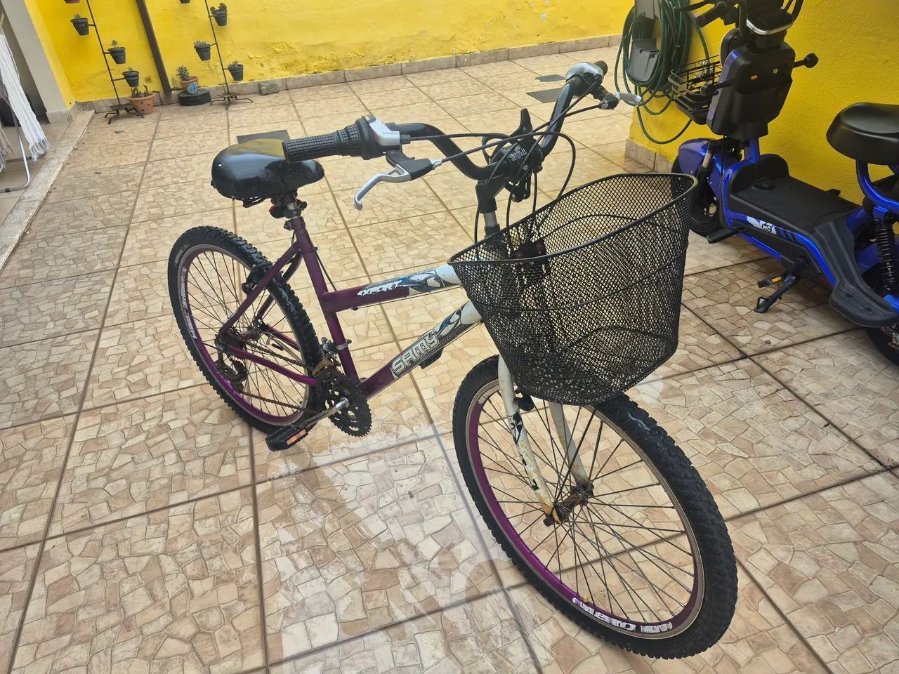Bicicleta Feminina