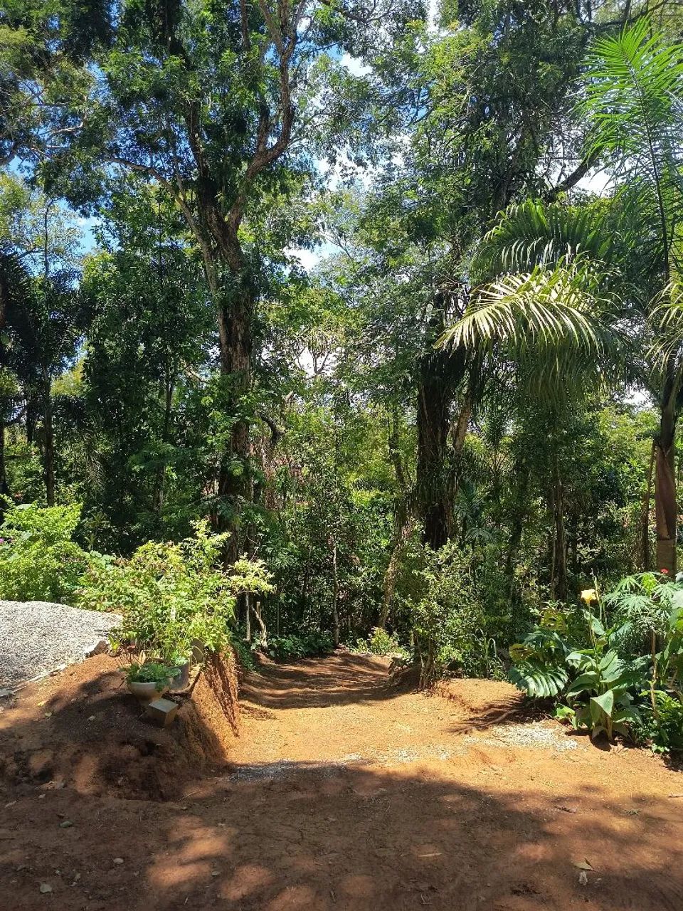 Vendo chácara. - Foto 5