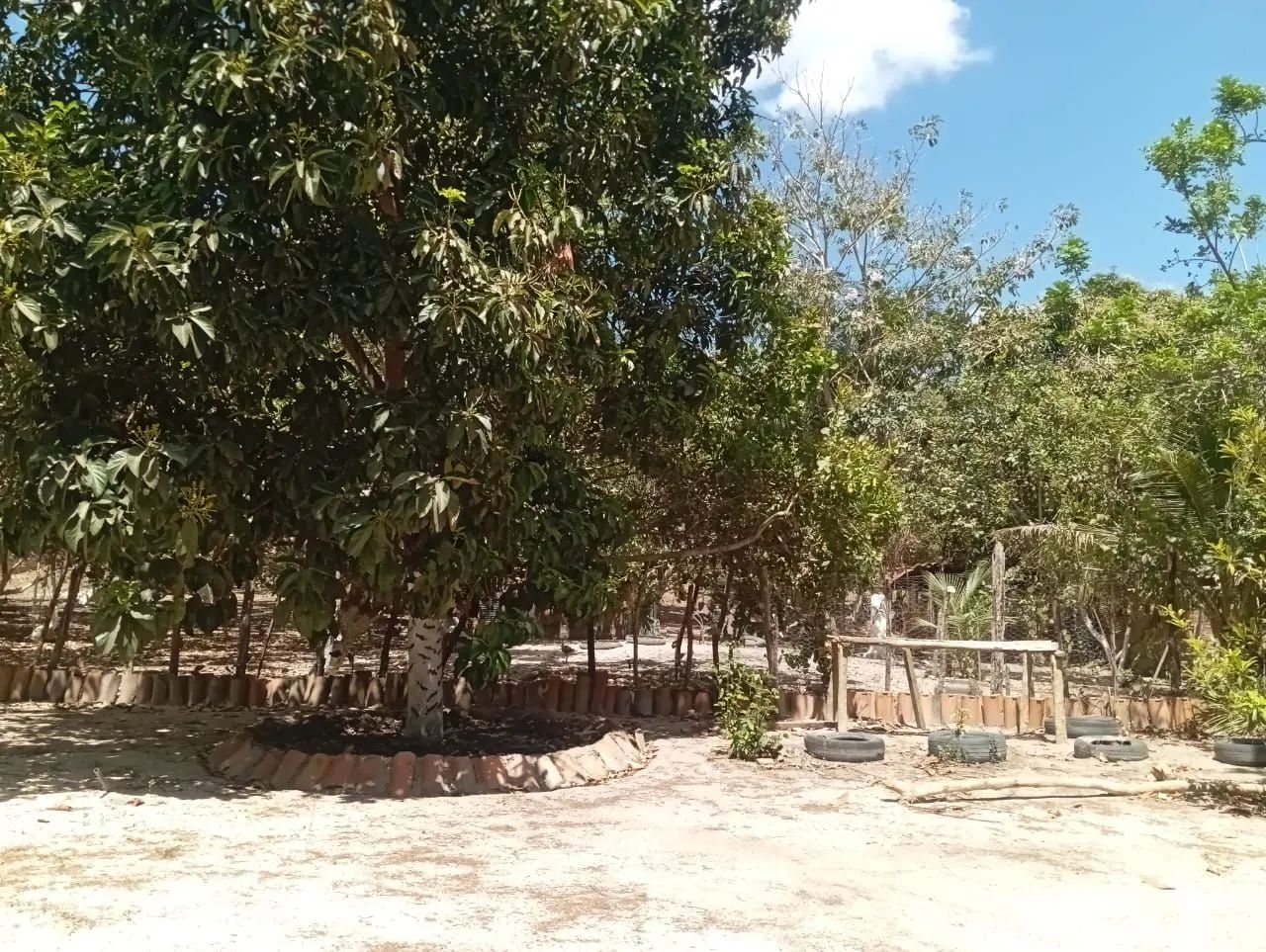 Vendo sitio - Foto 4