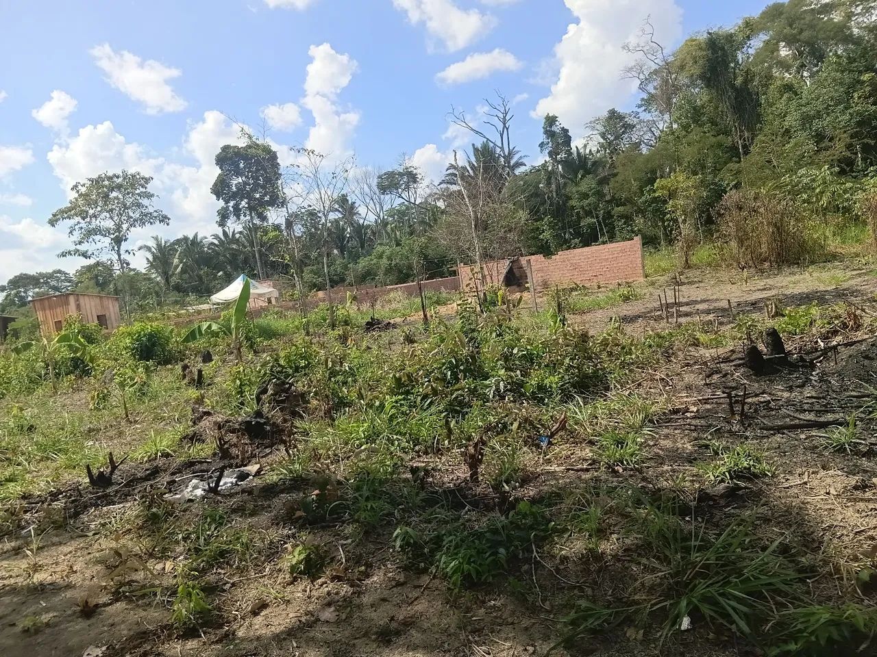Terreno parcelado  - Foto 4