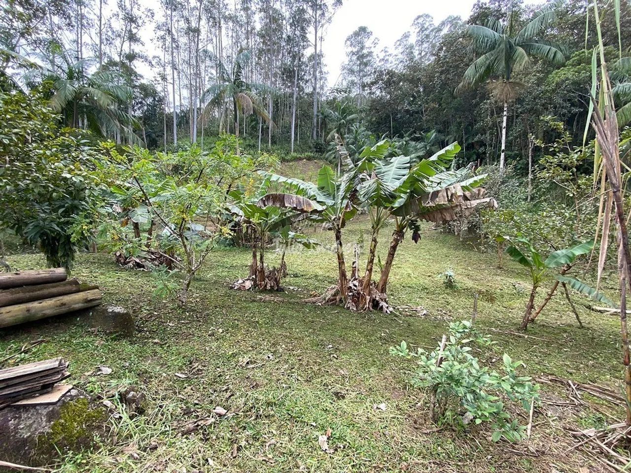 Terreno na Lorena Guabiruba - Foto 5