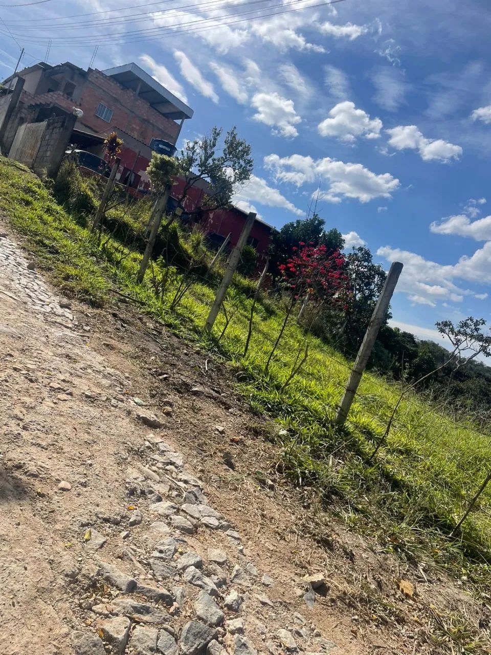 Chácara plana ótima localização  - Foto 3