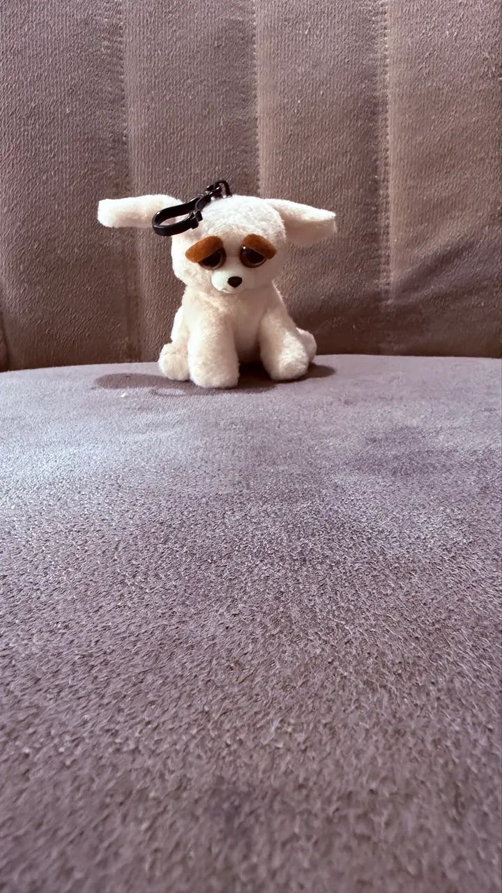 Feisty pet chaveiro 