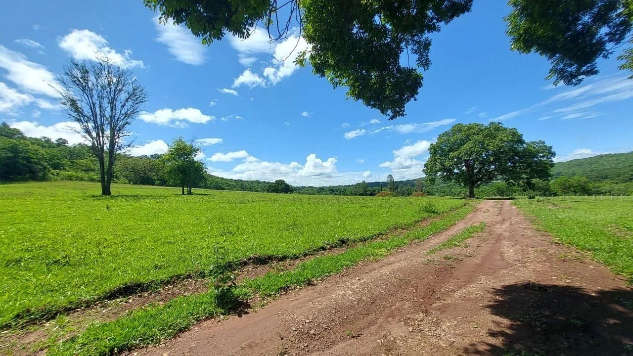 Vendo chácara  - Foto 5