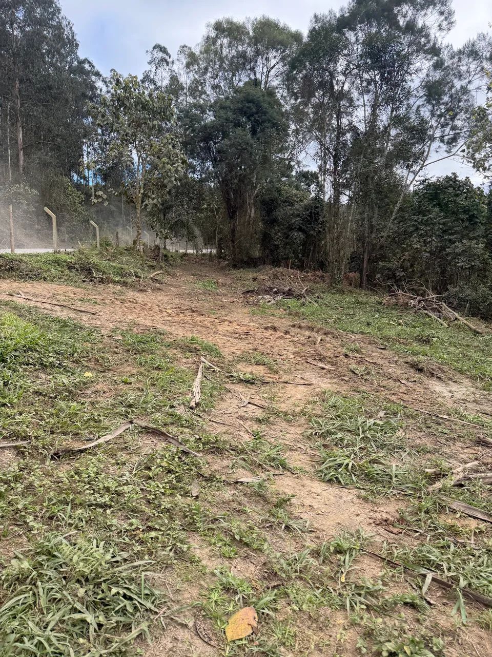 Terreno com nascente  - Foto 3