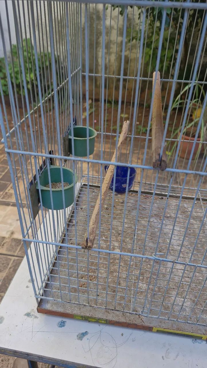 Gaiola grande  - Foto 3