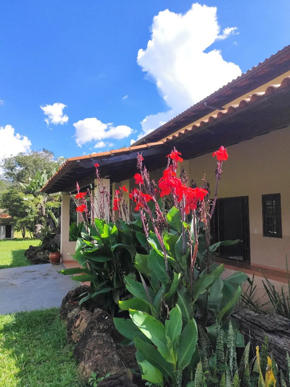 SÍTIO EDUARDO E MÔNICA - 39 hectares - DF - Foto 9