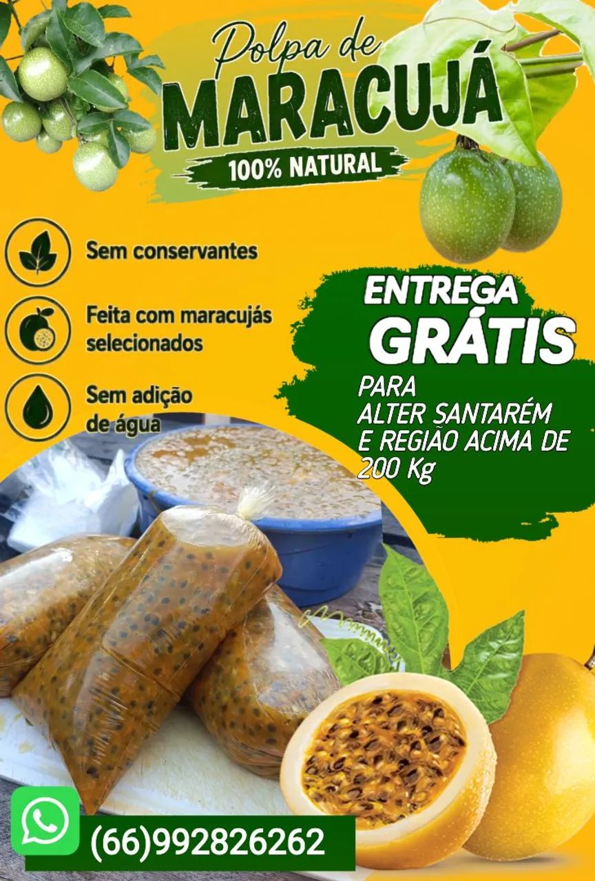 POLPAS DE MARACUJÁ 100% NATURAL - Foto 3