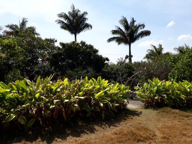 Sítio com 16 hectare em Gravatá-PE Ref.32 - Foto 20