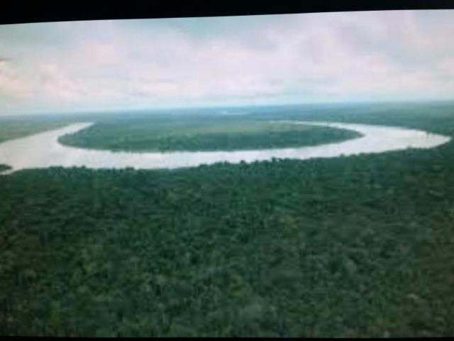 Área de 122.000 hectares na amazônia - Foto 4