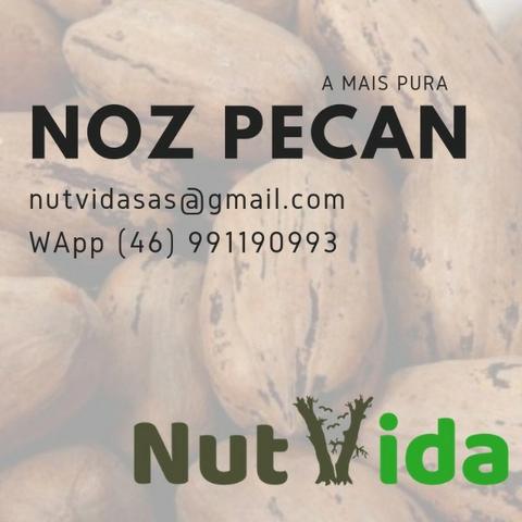 Nozes Pecan