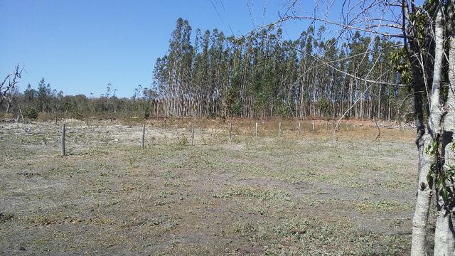 Chácara 14 km de Campo Grande - 9,8 hectares - Foto 14