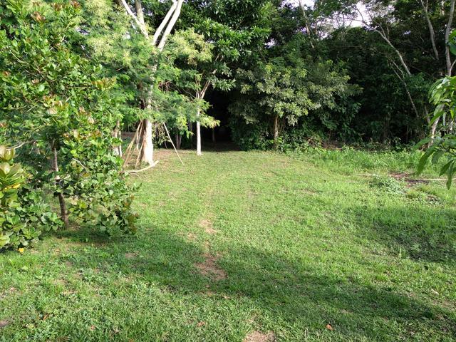 Chácara em santo Antônio - Foto 7