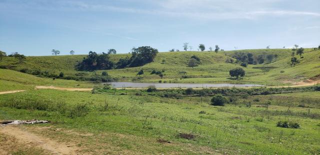 Fazenda a venda no extremo sul da bahia 170 ha - Foto 13
